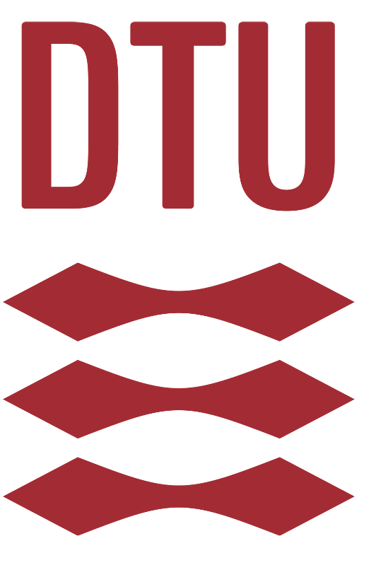 DTU PES Summer School